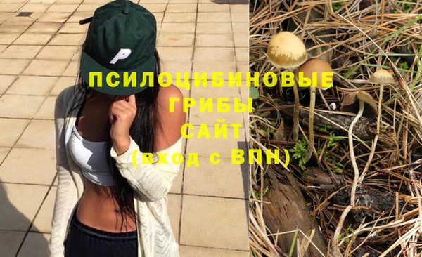 прущий лед Алексин
