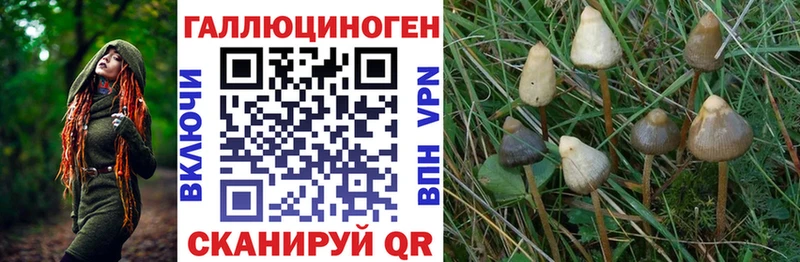 Галлюциногенные грибы Magic Shrooms  Питкяранта 